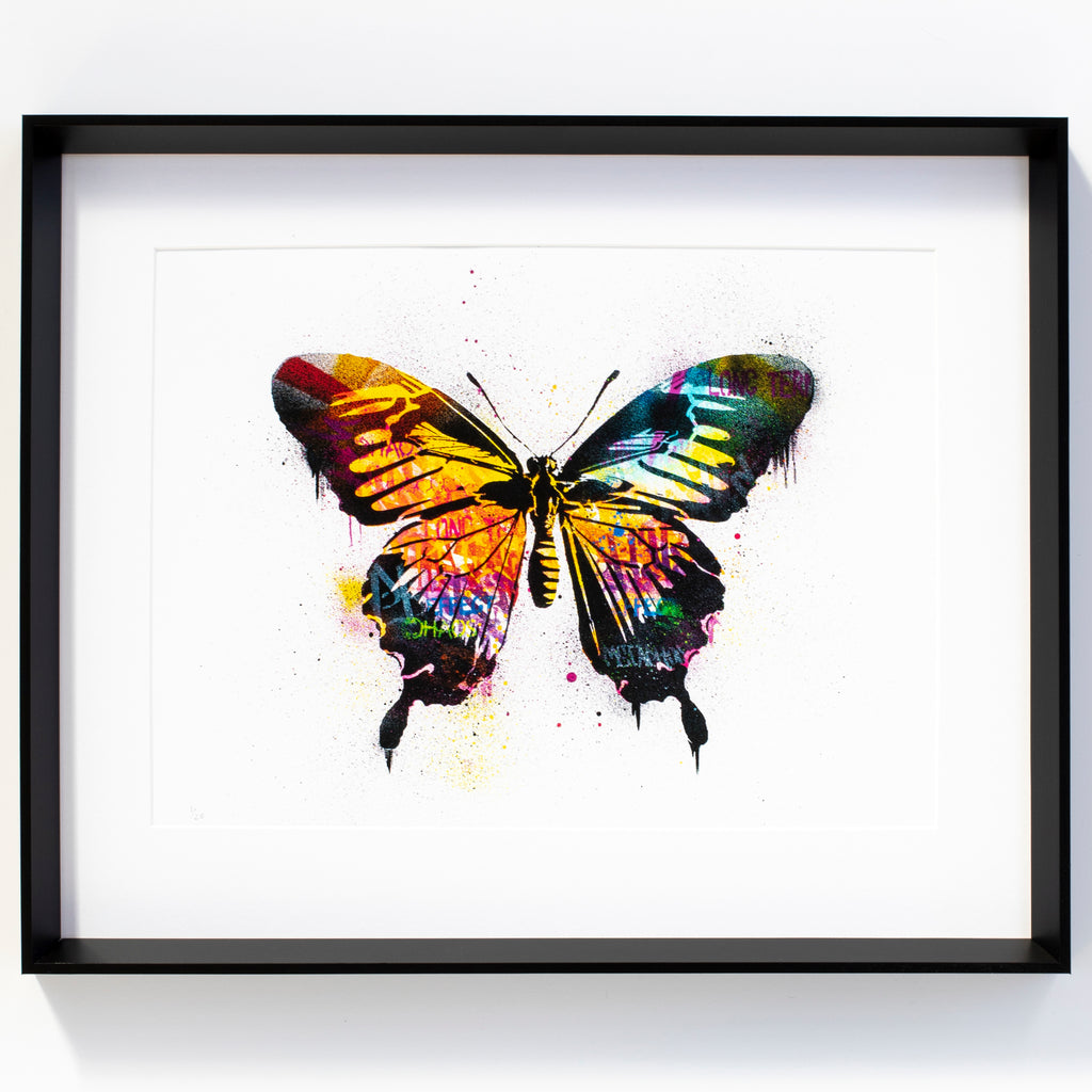 Component - Fragile Connection - PRINT - Custom Framed – Fiksate Gallery