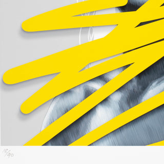 Jessie Rawcliffe X Dr Suits - Inherited Instinct Print - Fiksate Gallery