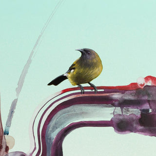 Jacob Yikes - Korimako/Bellbird - Fiksate Gallery