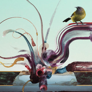 Jacob Yikes - Korimako/Bellbird - Fiksate Gallery